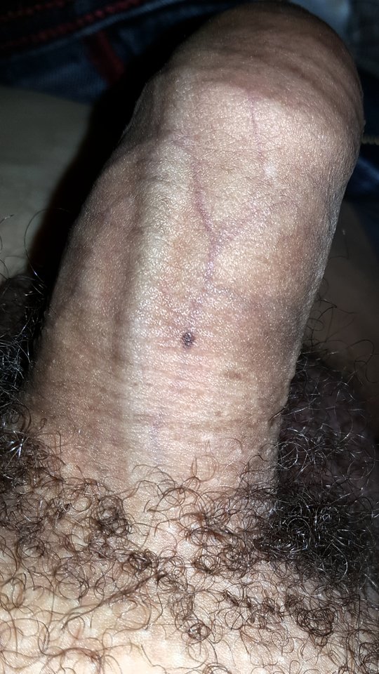 20180101_180353.jpg - trespass