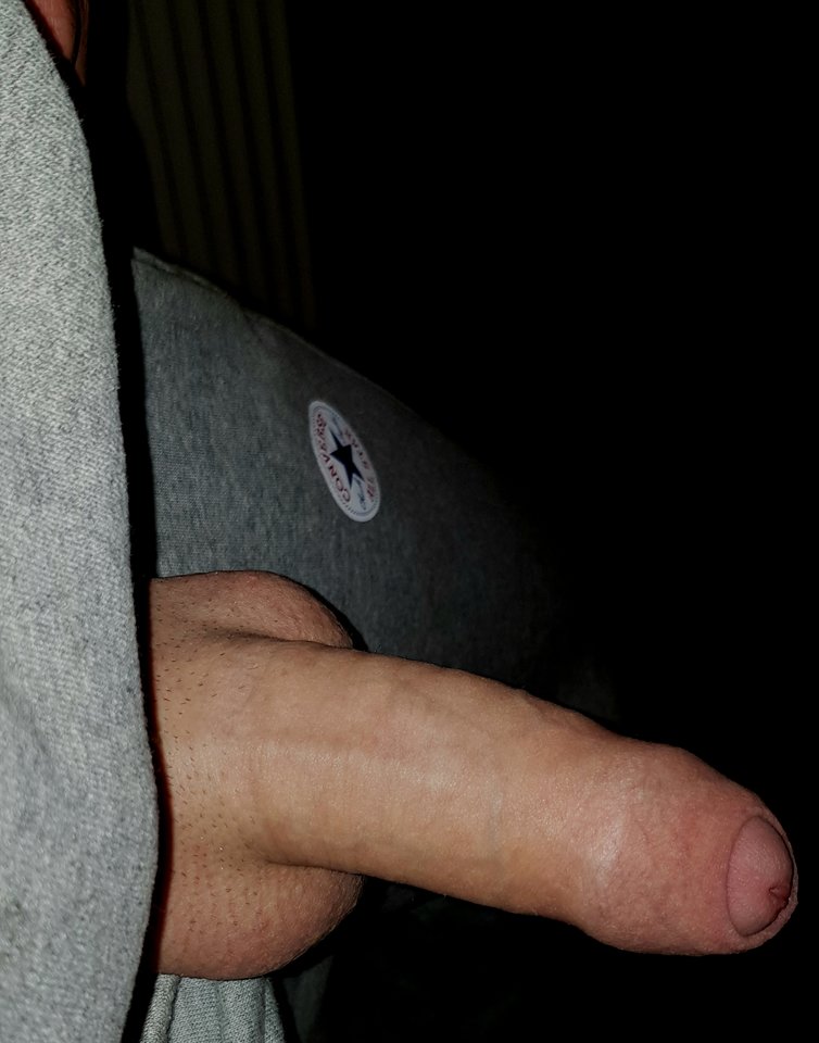 Poranny gość 😉 gotowy do dzialania - banditor