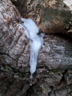 20180107_153803.jpg