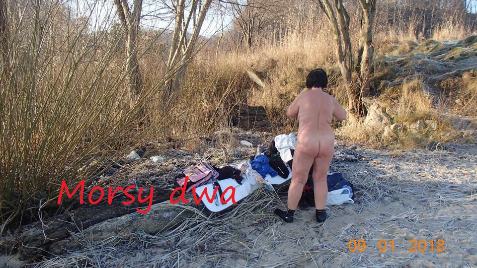 Babie Doły - Morsy_dwa