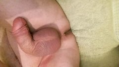 15156228447261746102669.jpg