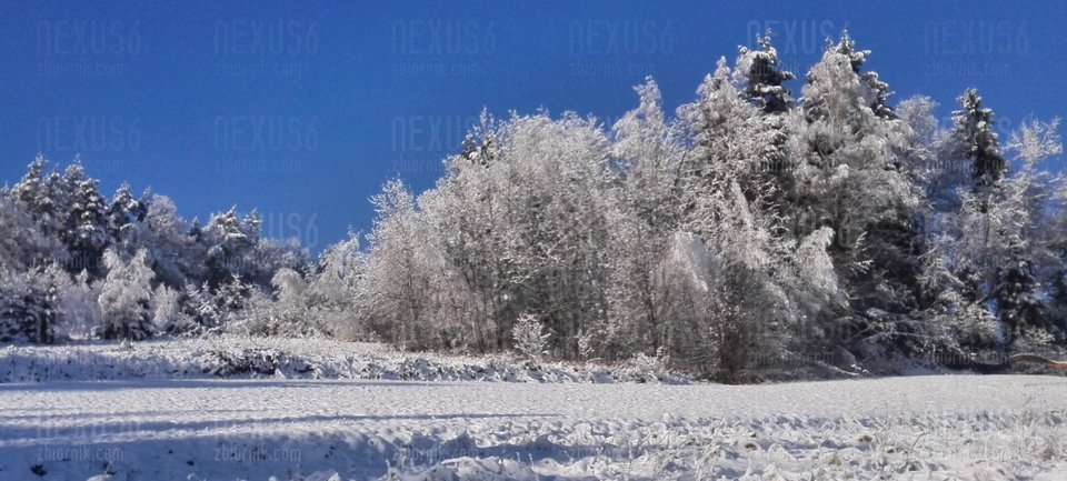 zima_cr.jpg - nexus6