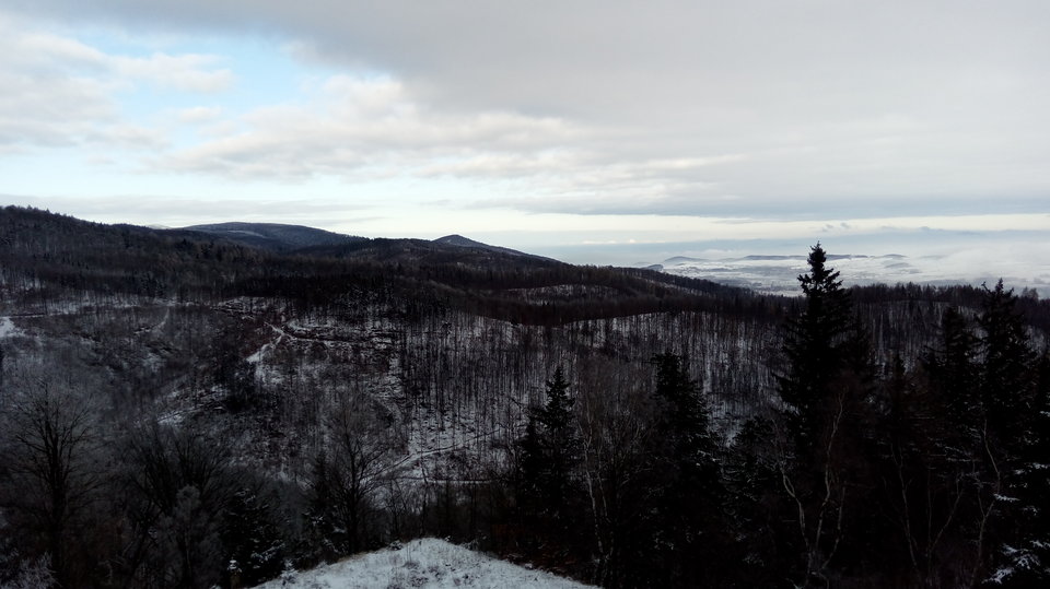 20171203_102851.jpg - merkury40