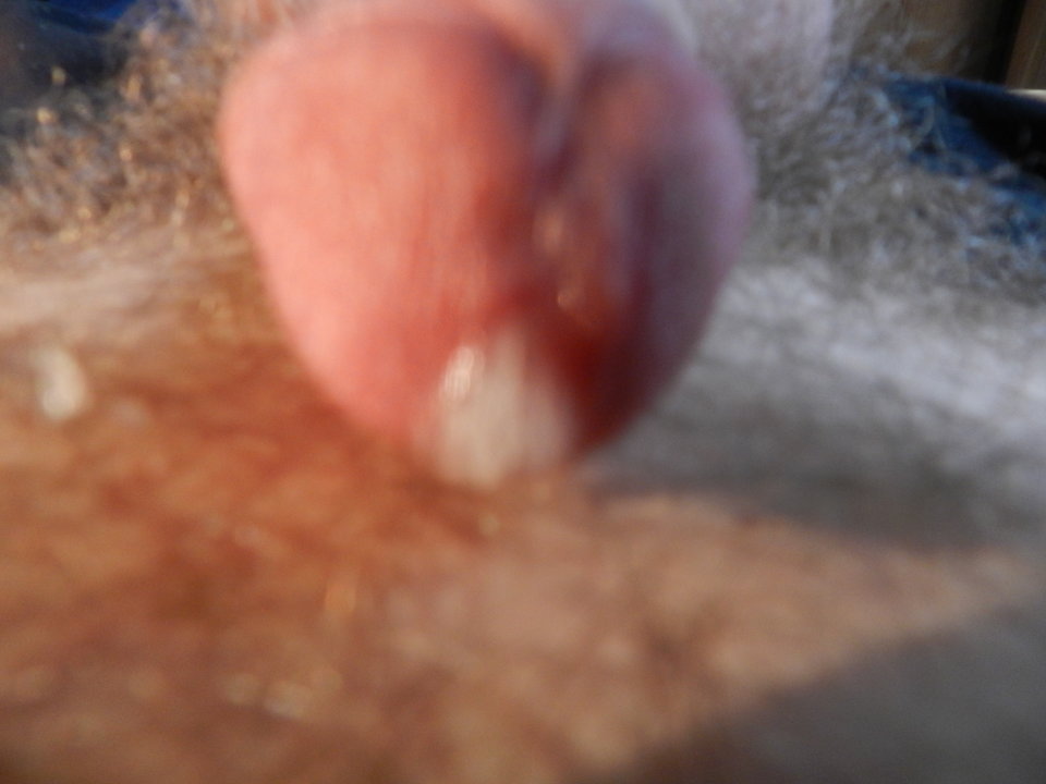 DSCN1267.JPG - janekoko4