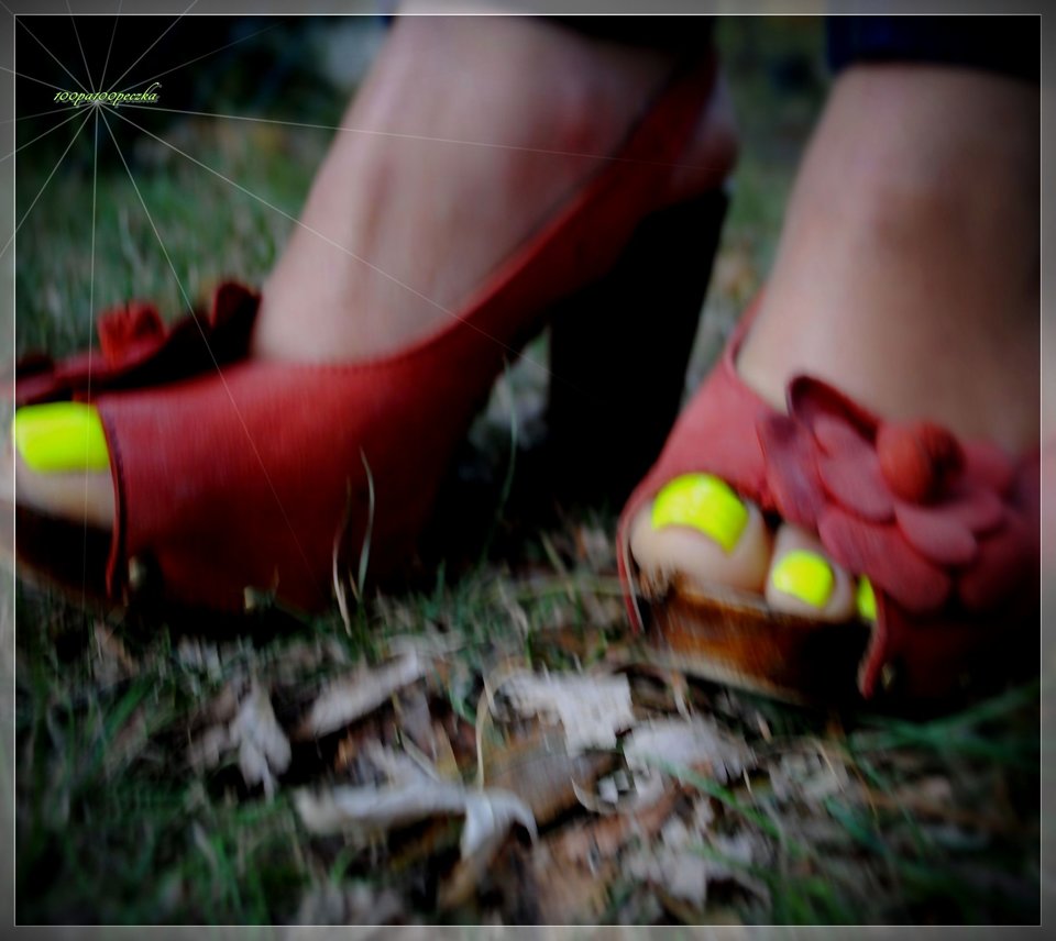 Ceglaste #58 - 100pa100peczka