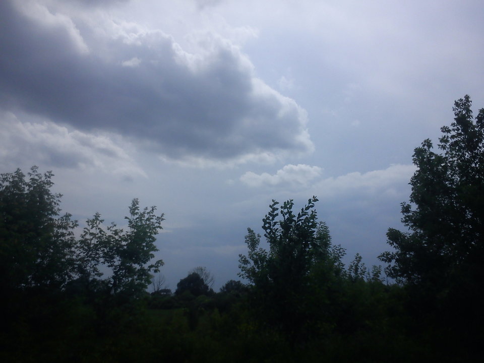 DSC00012.JPG - pasztet123