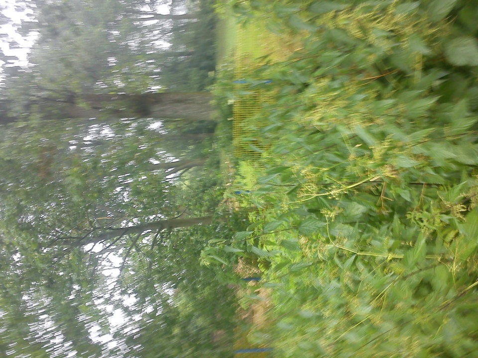 DSC00015.JPG - pasztet123