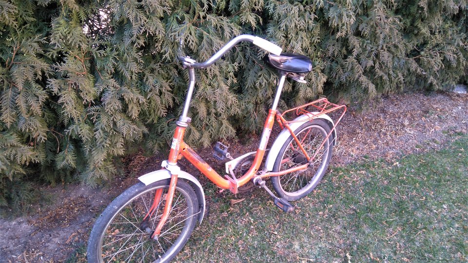 DSC_0120.JPG - Piter53