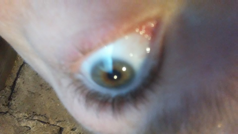 1516183233256584061619.jpg - Ciekawychetny