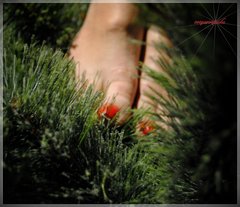 Czerwone Landrynki 157