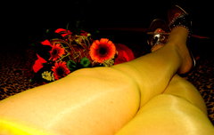 WIECZÓR W ZŁOTYCH BUCIKACH