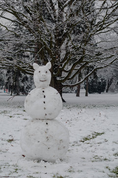 Świński bałwan :)))