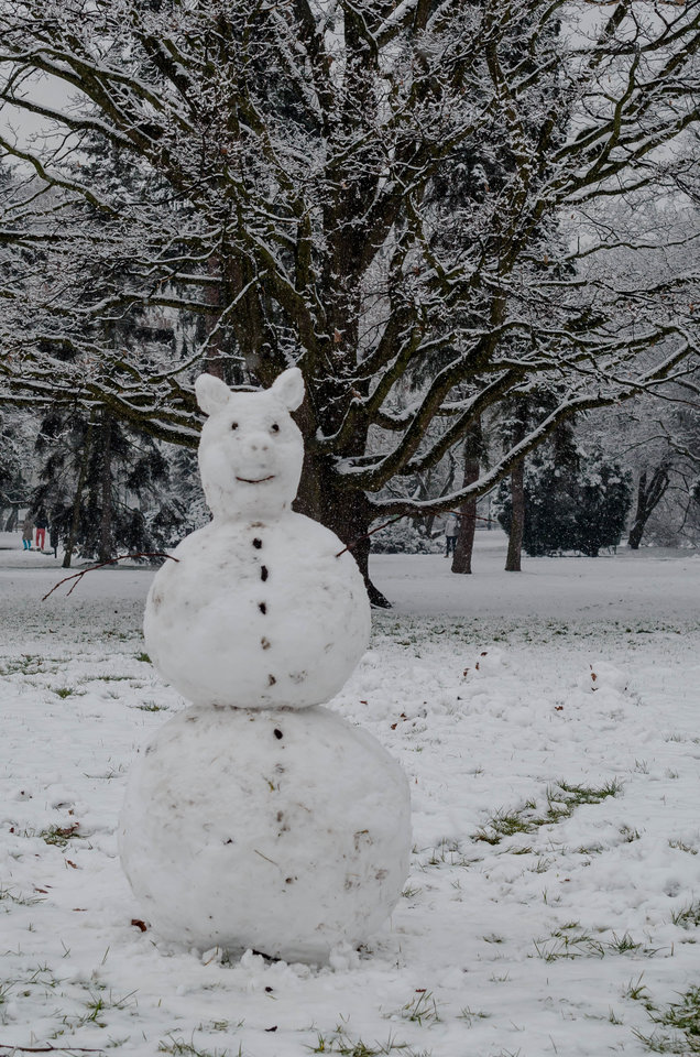 Świński bałwan :))) - mystic