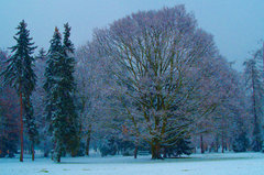 Kolorowo i bajkowo :)