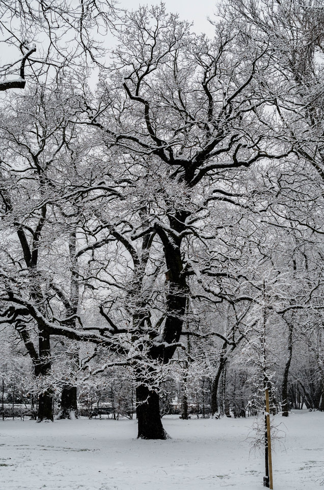 Tak lubię :) - mystic