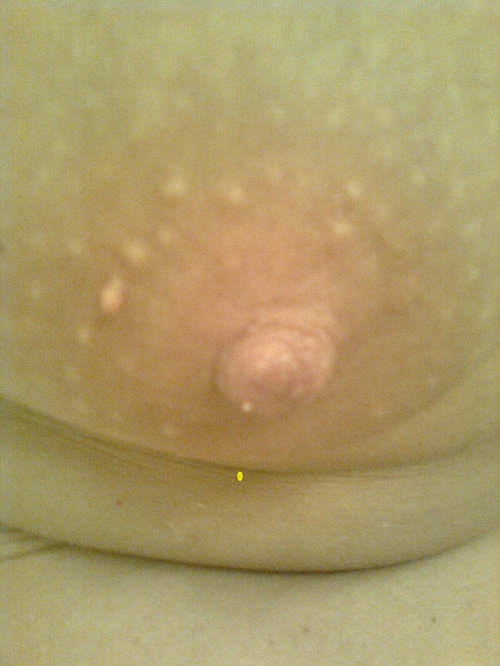 Zdjęcie2854.jpg - olla55