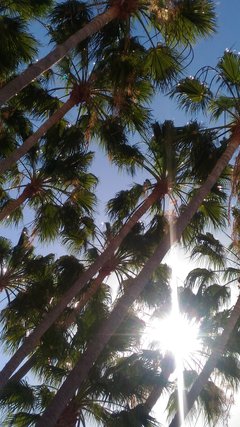 Mieć taki widok nad sobą....bezcenne :)