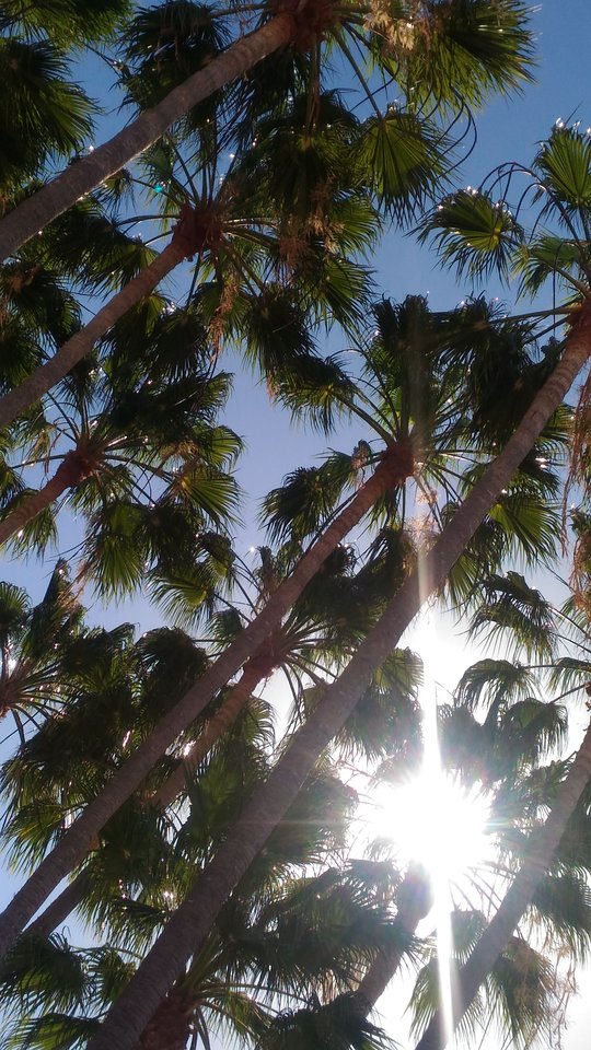 Mieć taki widok nad sobą....bezcenne :) - naturalnapara83