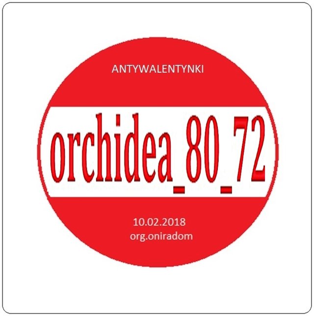 orchidea_80_72
