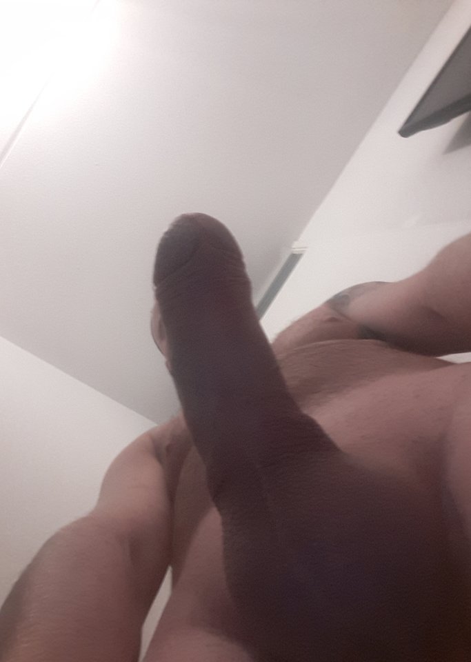 20180127_111819.jpg - kaktus123456