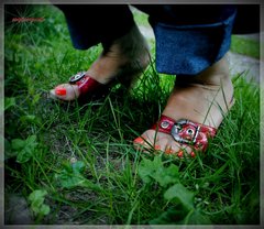 Czerwone Drewniaczki 71