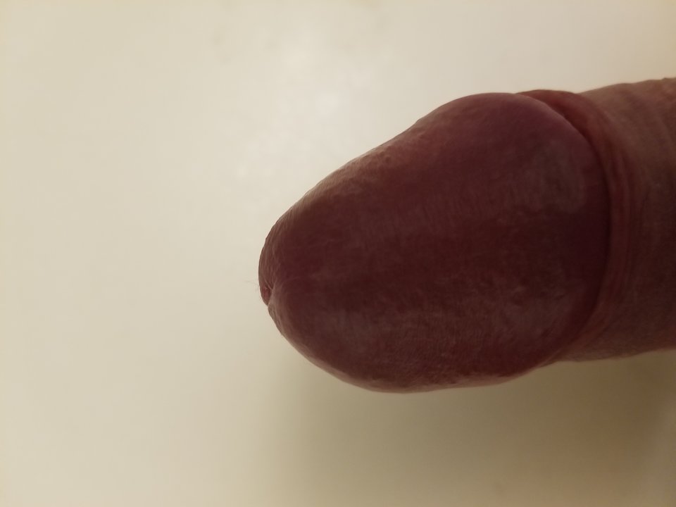 1517118279977472607055.jpg - abradaab
