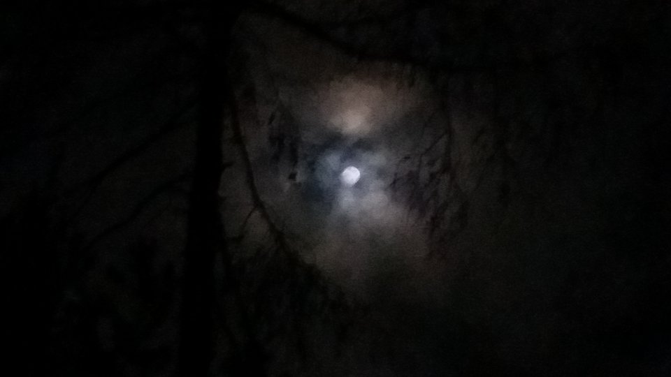 20180130_202845.jpg - pieszimowy