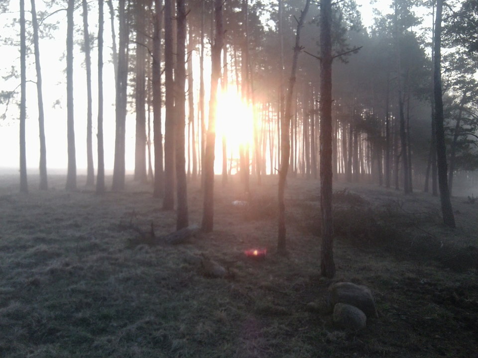 Zdjęcie0398.jpg - jagdzianka