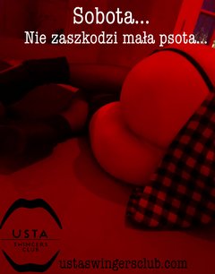 ustaswingersclub.com