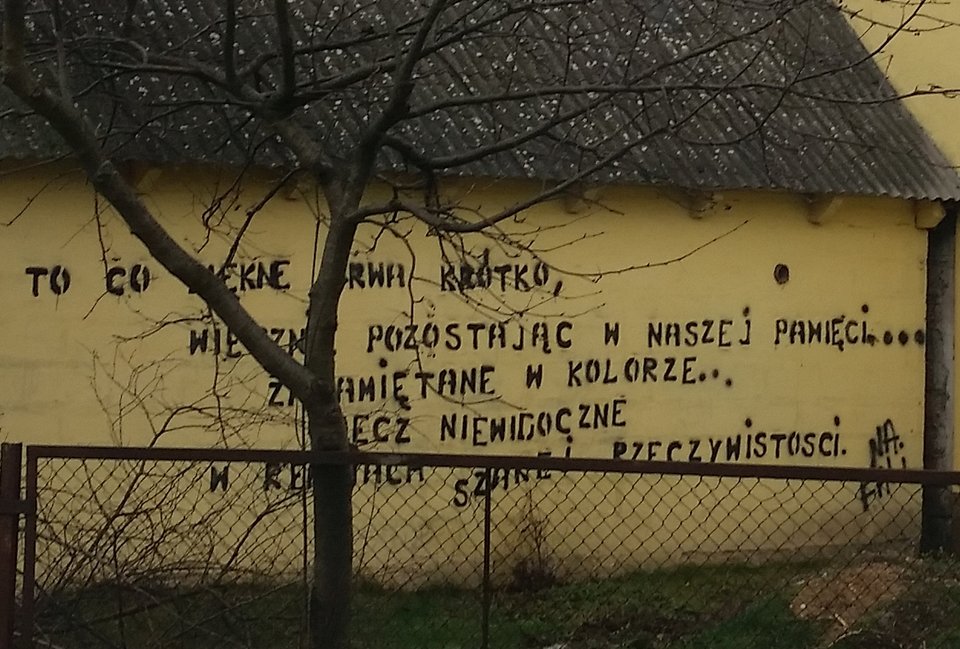 20151222_122017_20.jpg - skrad_dleihs