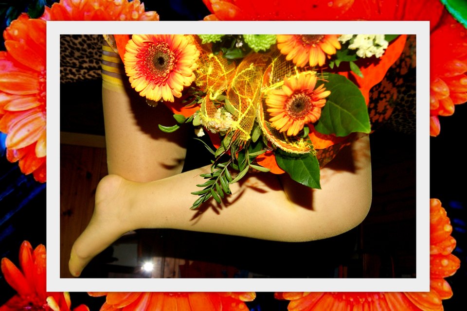 Gerbera.jpg - Ajsza69