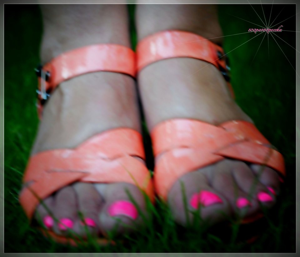 Pomaranczowe II #51 - 100pa100peczka