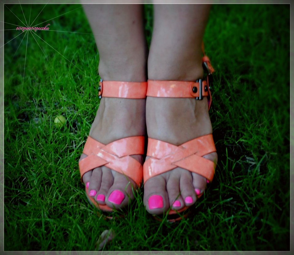 Pomaranczowe II #53 - 100pa100peczka