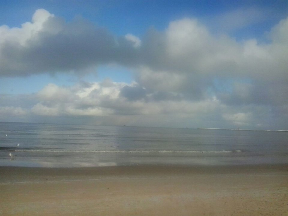 IMG-20180206-WA0000.jpg - matyldchen