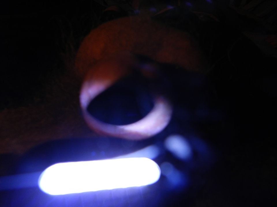 DSCN1347.JPG - janekoko4