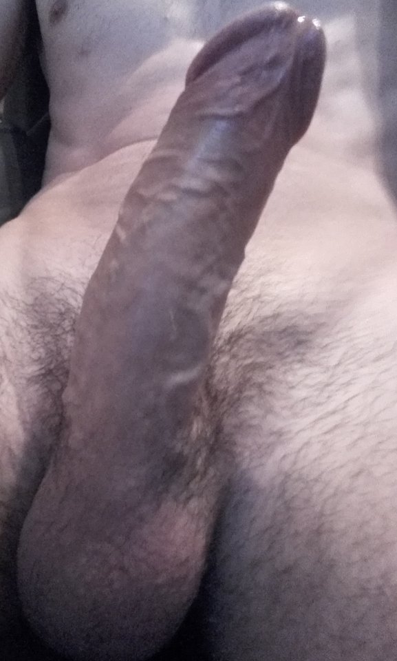 hop_2.jpg - Czesioslaw77