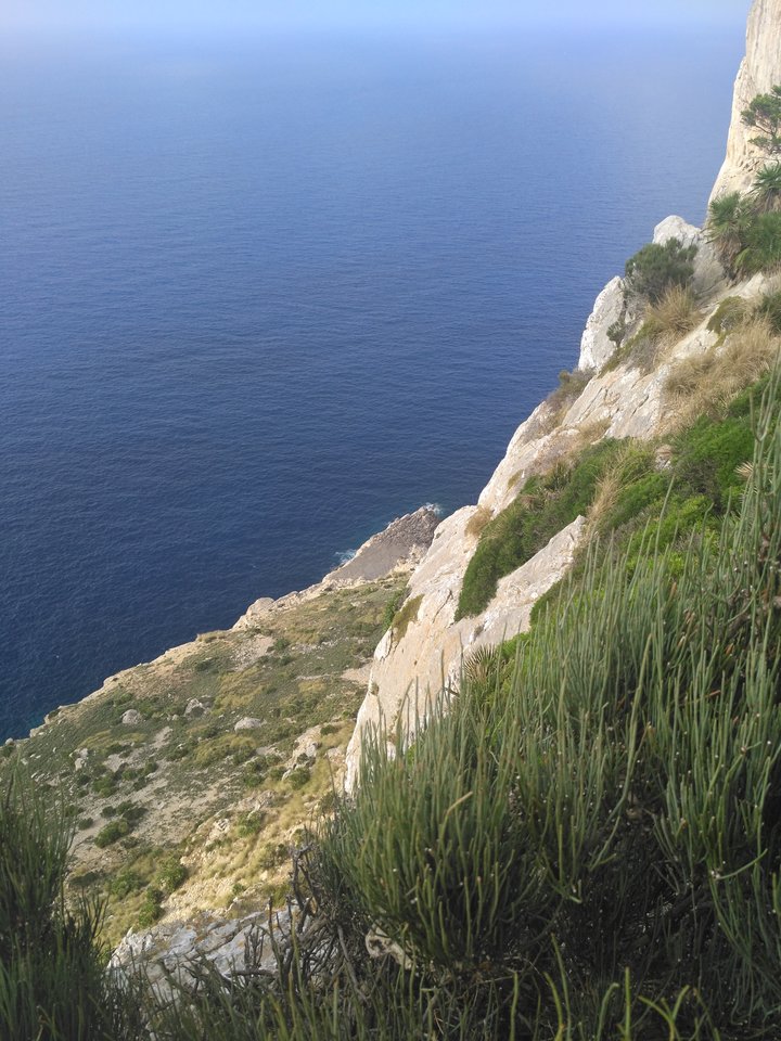 IMG_20170720_182714.jpg - szarlatanM