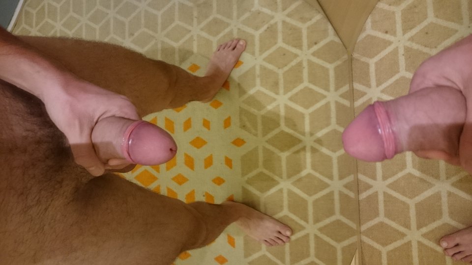 15182725498881086480255.jpg - megaroskosz