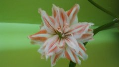 20180211_101808.jpg