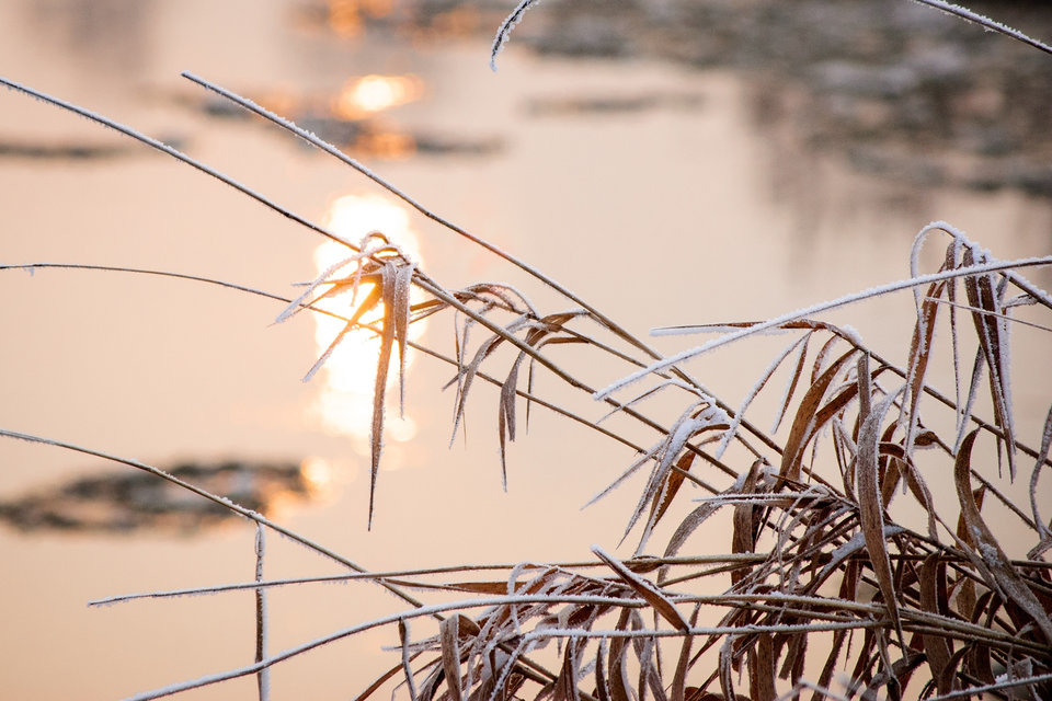 DSC_0389.jpg - _marek_87