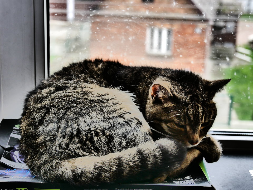 P1000110.JPG - FoKam431