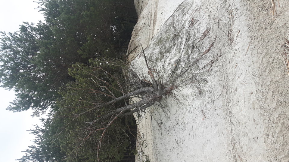 20180218_131045.jpg - szogi1