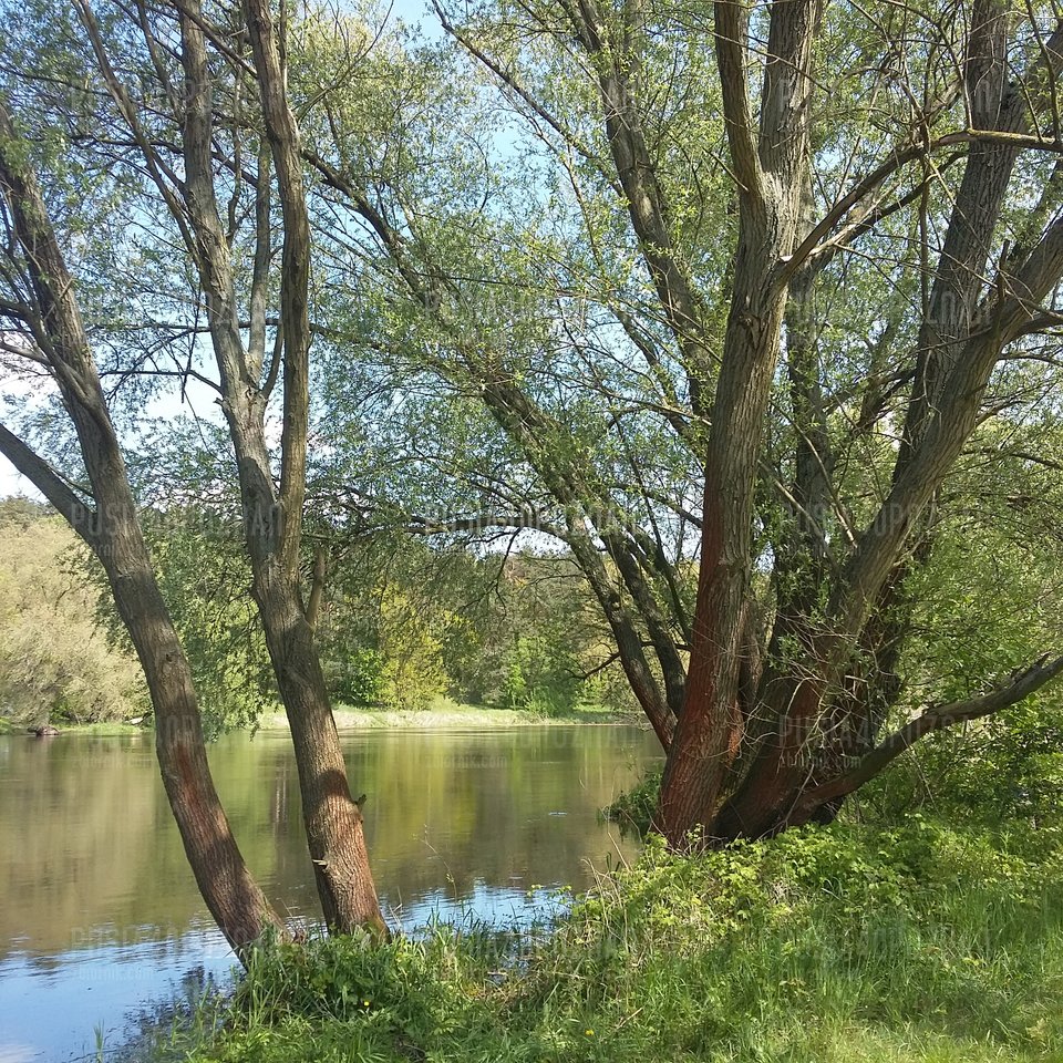 20170513_143812.jpg - Pusia40poznan