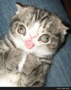 DZIEŃ DOBRY 😀😁😁😀😀😘😘😘