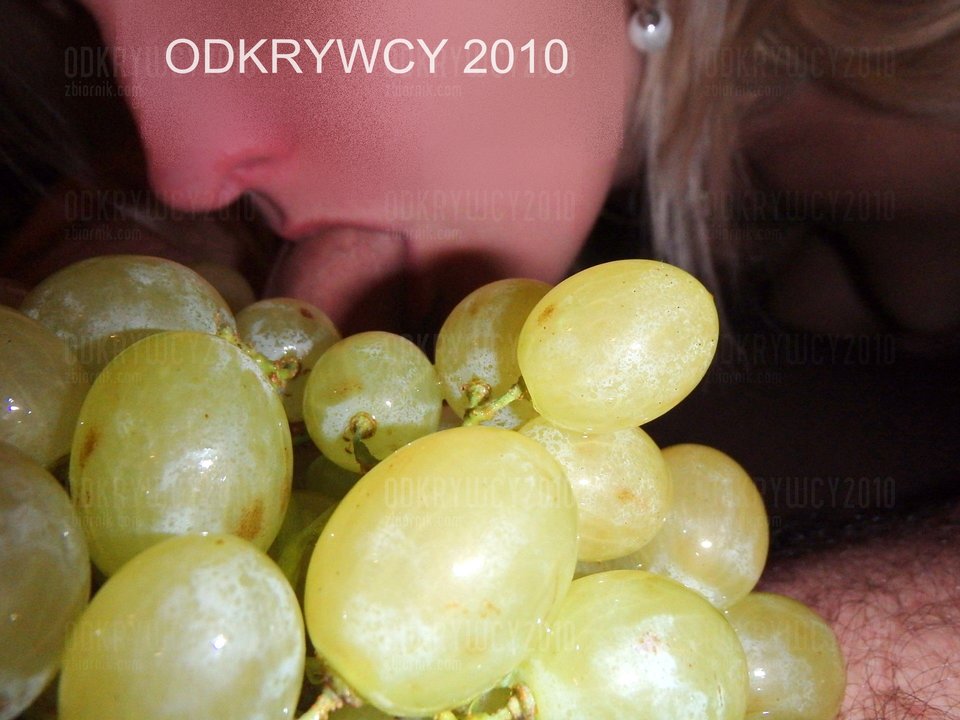 Komu winogronko ? - Odkrywcy2010