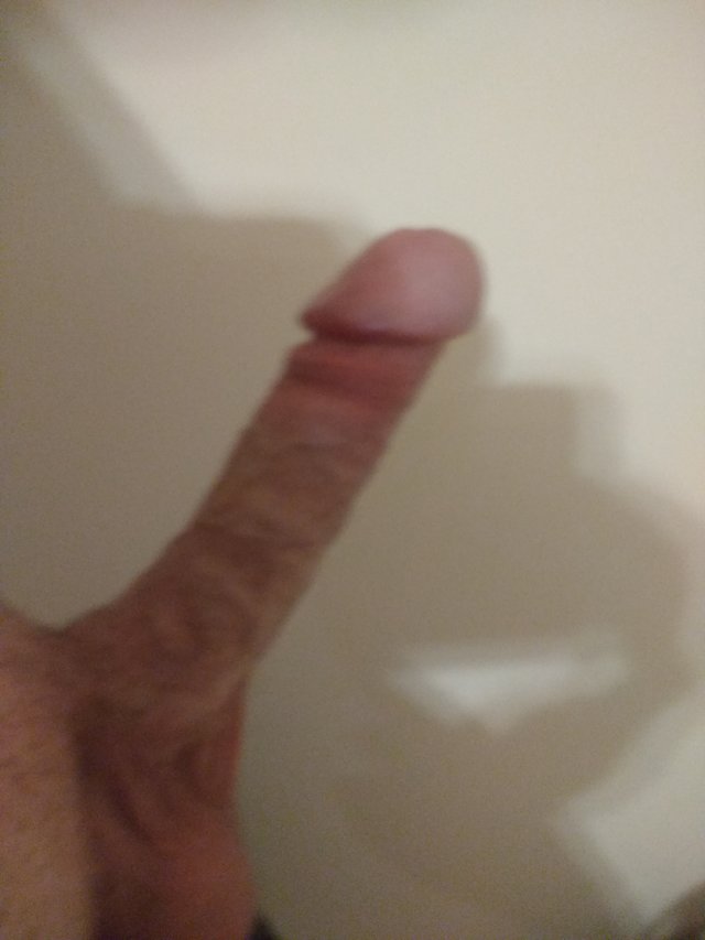 Sponbl