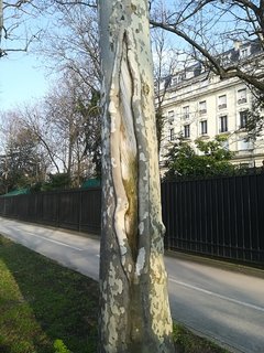 Szpary mnie prześladują😁😂