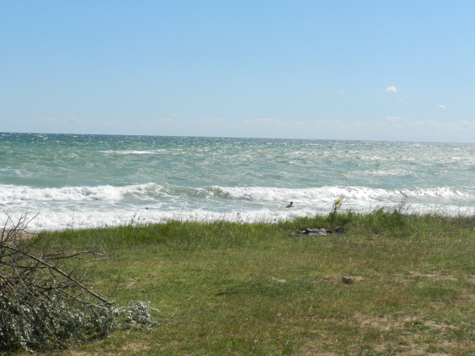 DSCN3536.JPG - men333men