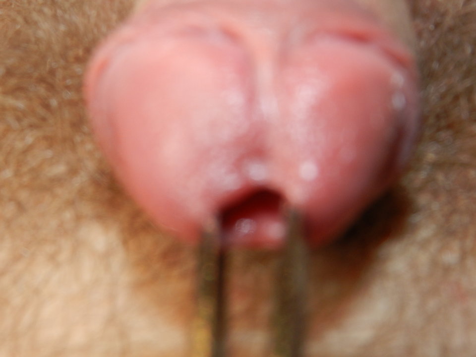 DSCN1447.JPG - janekoko4