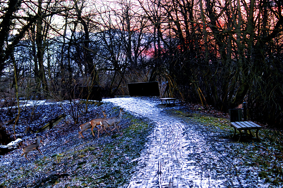 sarnyOO.jpg - marquiz